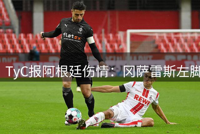 TyC报阿根廷伤情：冈萨雷斯左脚踝仍感疼痛 其他人没有大碍